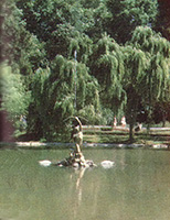 
Pretty parks, such as this one on the Black Sea, are common in Soviet cities.
